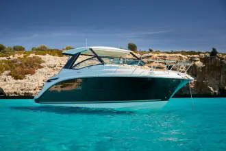 Thumbnail von Sea Ray 320 Sundancer