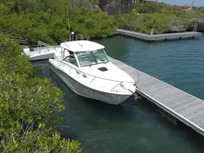 Boston Whaler 315 Conquest Re-powered -  twin 350