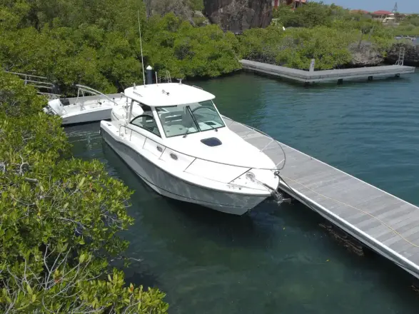 Boston Whaler 315 Conquest Re-powered -  twin 350
