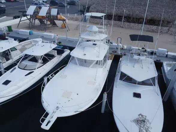 Luhrs 40