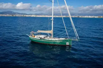 Puffin Classic 50