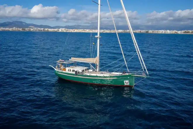 Puffin Classic 50