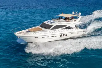 Thumbnail von Sealine T60