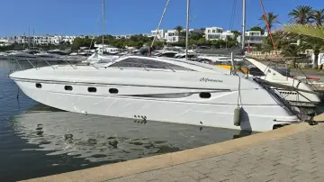 Alfamarine 43