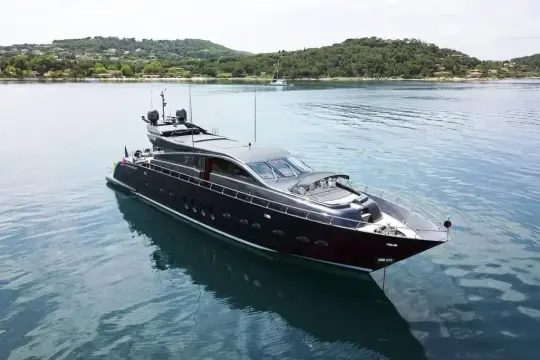 Leopard 31