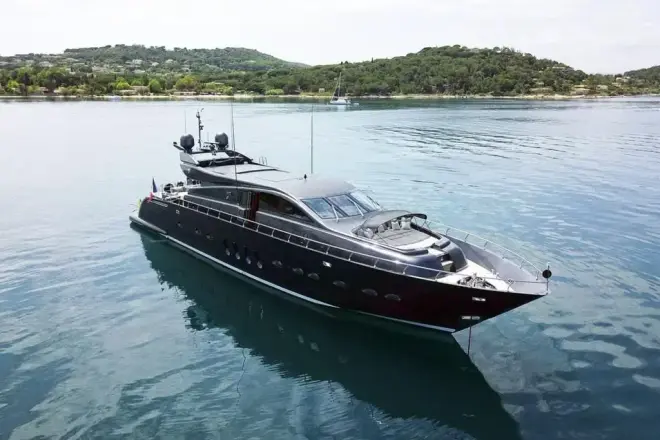 Leopard 31