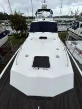 Thumbnail von Dale Nelson 38 ANDROMEDA