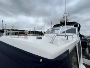 Thumbnail von Dale Nelson 38 ANDROMEDA