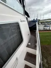 Thumbnail von Dale Nelson 38 ANDROMEDA