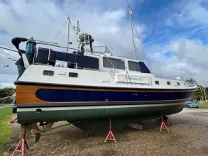 Thumbnail von Dale Nelson 38 ANDROMEDA