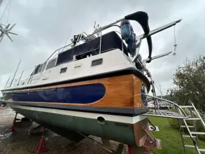 Thumbnail von Dale Nelson 38 ANDROMEDA