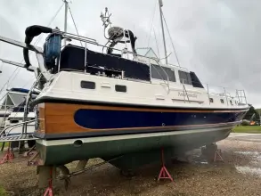 Thumbnail von Dale Nelson 38 ANDROMEDA