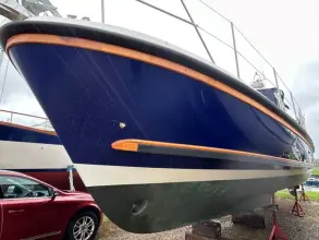 Thumbnail von Dale Nelson 38 ANDROMEDA