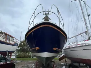 Thumbnail von Dale Nelson 38 ANDROMEDA