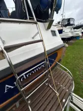 Thumbnail von Dale Nelson 38 ANDROMEDA