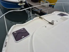 Thumbnail von Excite Cat 10.10 Fortuna