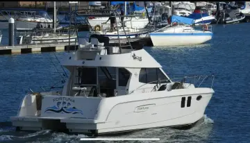 Thumbnail von Excite Cat 10.10 Fortuna