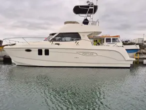 Thumbnail von Excite Cat 10.10 Fortuna