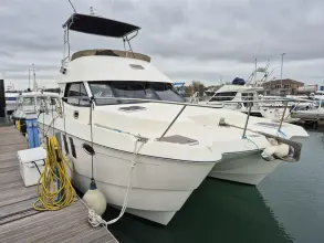 Thumbnail von Excite Cat 10.10 Fortuna