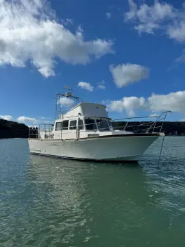 Corvette 320