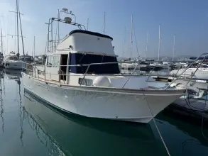 Thumbnail von Corvette 320