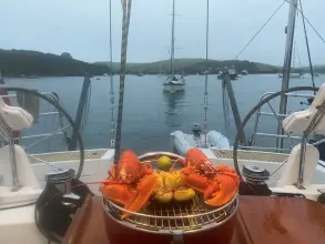 Thumbnail von Wauquiez Pilot Saloon 55 Renne