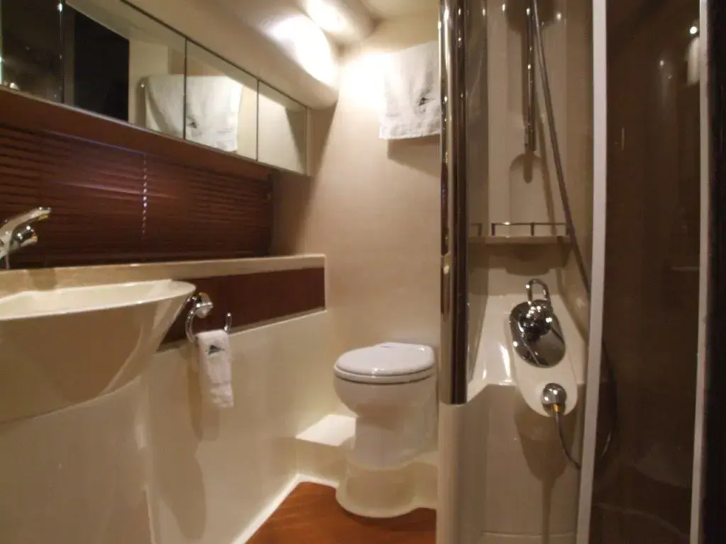 Thumbnail von Fairline Squadron 55 Mia Sandi