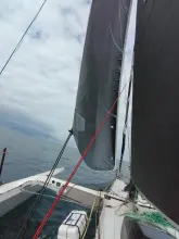 Thumbnail von Shuttleworth 39 Morpheus