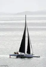 Thumbnail von Shuttleworth 39 Morpheus