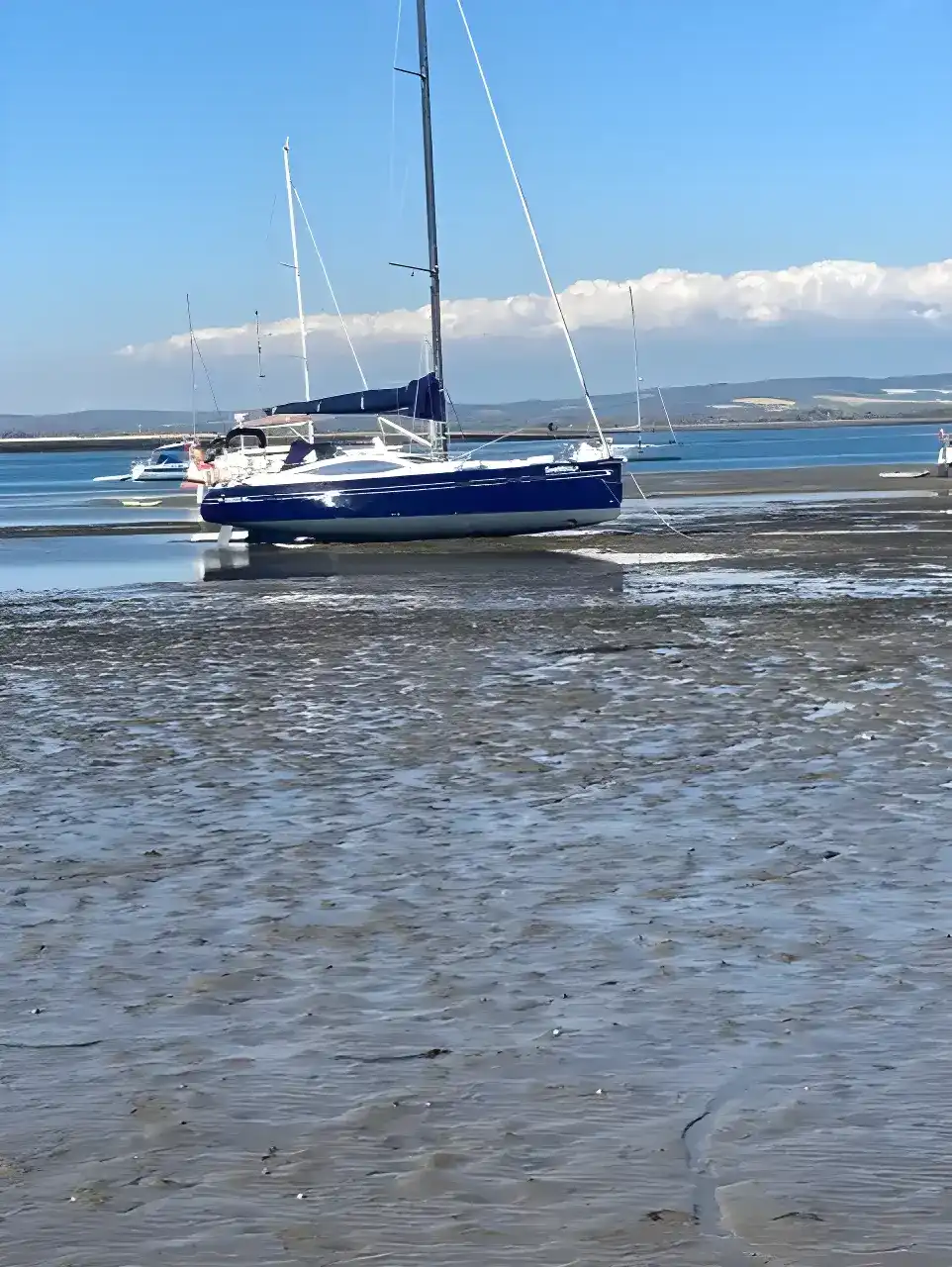 Thumbnail von Southerly 46 RS SHEWOLF