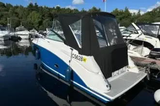 Thumbnail von Regal 26 Express Rosa