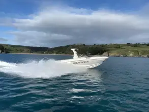 Thumbnail von Supra SE