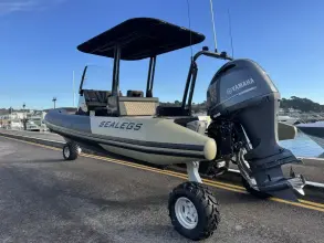 Thumbnail von Sealegs 7.5m Amphibious RIB