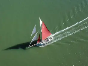 Thumbnail von Kidby Sons Oyster Smack Kidby Oyster Smack CK348