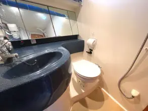 Thumbnail von Broom 42 Cl