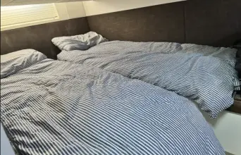 Thumbnail von Sealine SC35 G-Whizz