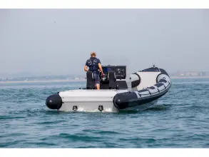 Thumbnail von Ring Marine 1050 Pro