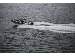 Thumbnail von Arksen 10.8 Custom Trophy