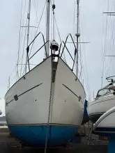 Thumbnail von Southerly 135 AURELIA