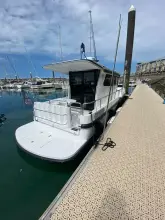 Thumbnail von Nord Star 31+