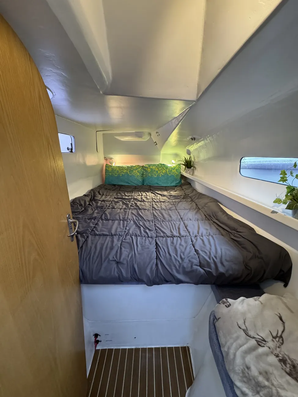 Thumbnail von Dazcat 1195