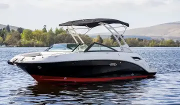 Sea Ray SDX 250