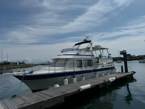 Trader 445 Signature Northwestern