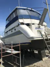 Thumbnail von Trader 445 Signature Northwestern