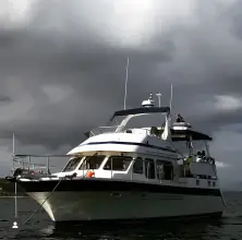 Thumbnail von Trader 445 Signature Northwestern