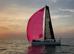 Thumbnail von Dehler 30 OD BLACK BETTY