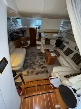 Thumbnail von Sealine F43 Starbay