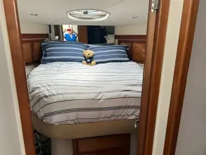 Thumbnail von Rodman 38