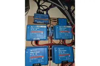 Thumbnail von Leopard 40