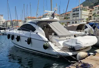 Thumbnail von Sunseeker Portofino 47 CAY